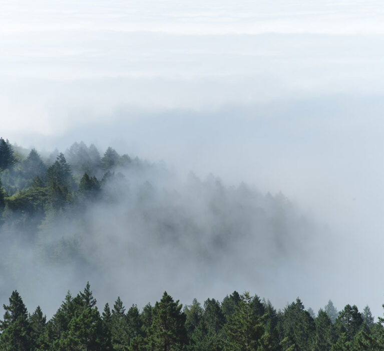 Kejaksaan Tinggi Sulteng Bersama Untad Gelar Seminar & Webinar Terkait Penerapan Restorative Justice